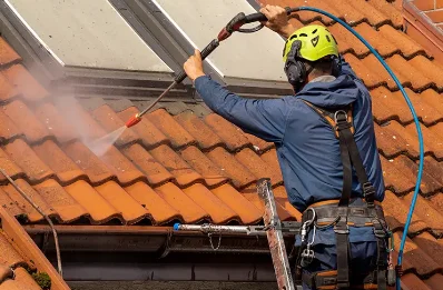 Démoussage et hydrofuge de toiture à Compreignac